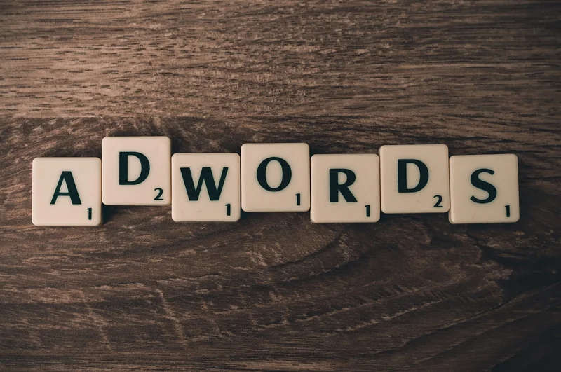 Audit des backlinks et du profil de liens